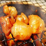 牛丸コロホルモン♪どっさり4kg 40人前！！