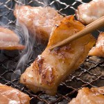 国産豚の特上ホルモン【9人前】たれ付き♪